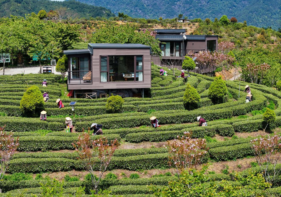 福建永泰：深山“家底”焕新记