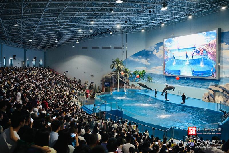 罗源湾海洋世界“动物世界”“欢乐世界”五一迎客
