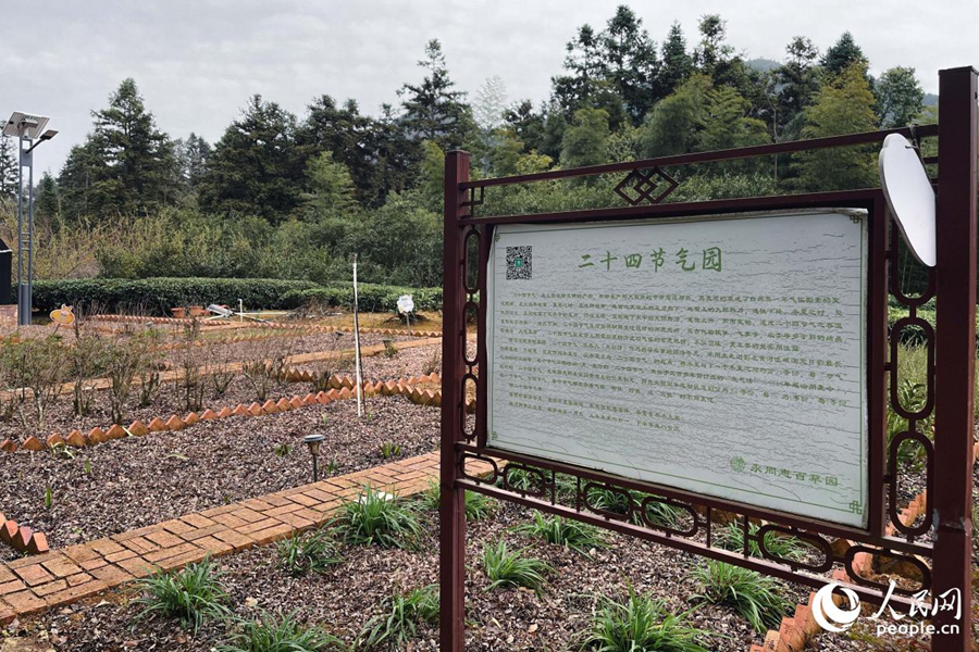 福建永泰：深山“家底”焕新记