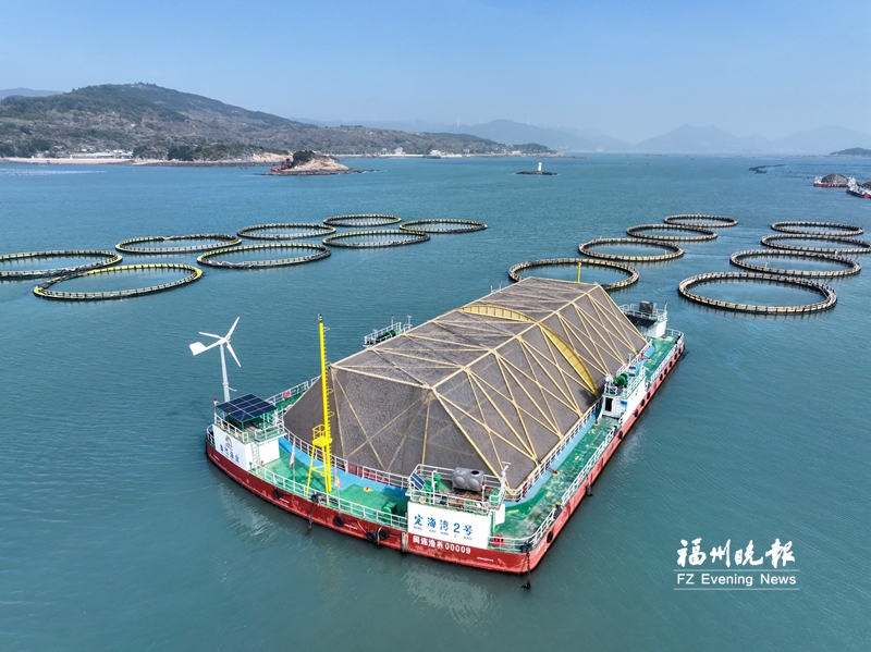福州累计投用13个深远海养殖平台