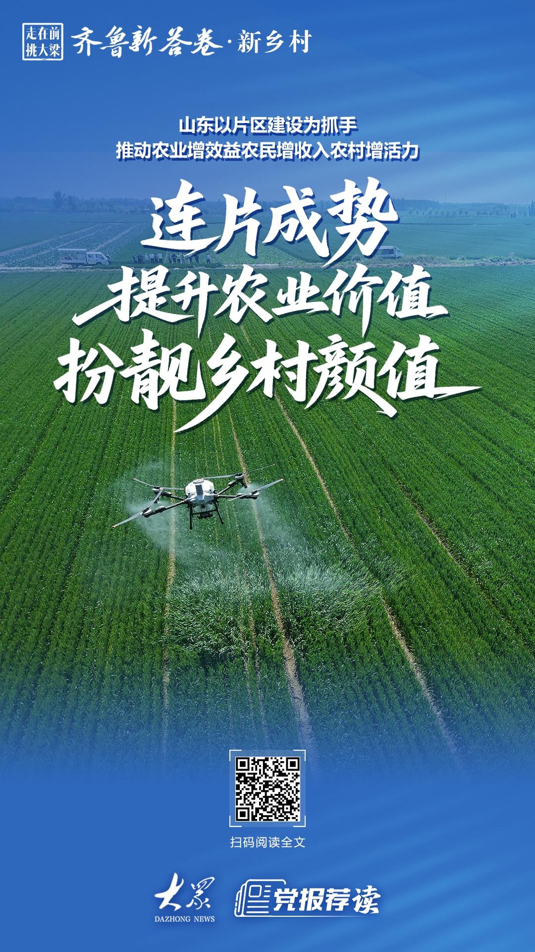 走在前 挑大梁 齐鲁新答卷·新乡村丨连片成势,提升农业价值扮靓乡村颜值