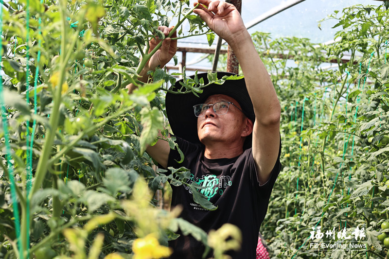 林加贞：连江农场“田秀才”
