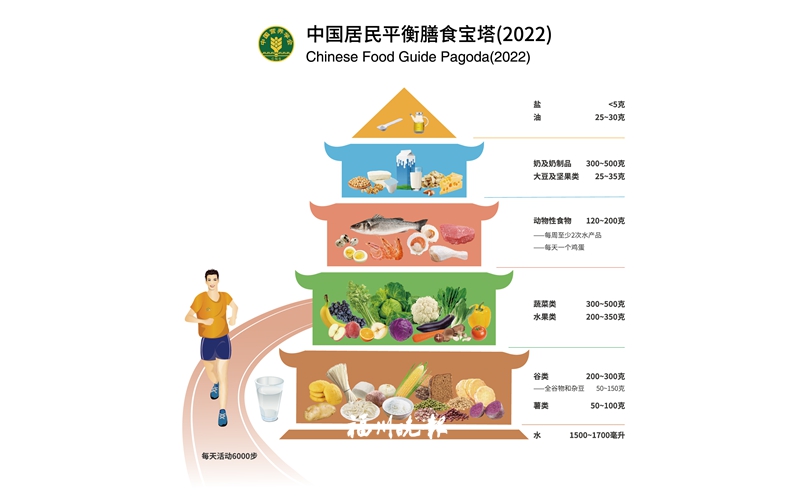 别被“碳水脸”网传伪概念误导 科学吃“碳水”健康瘦下来