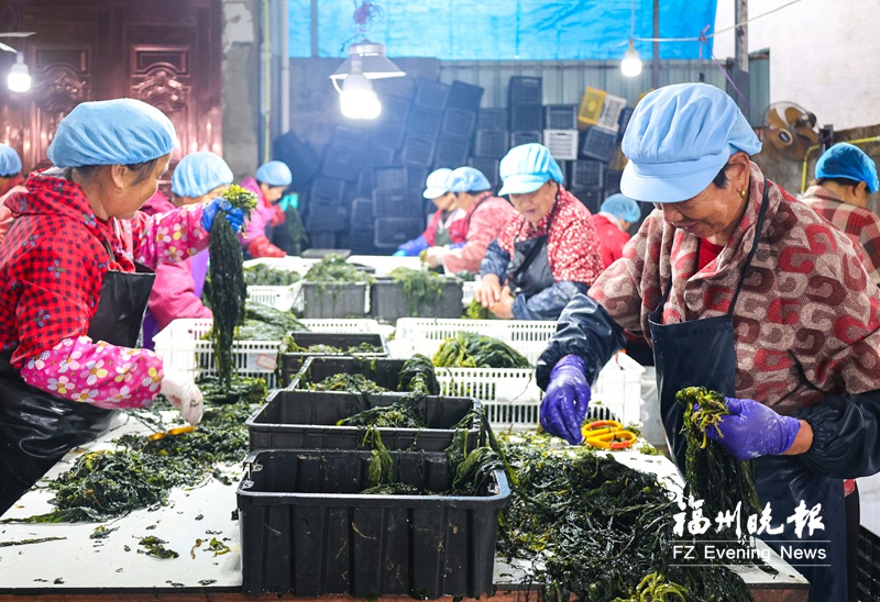 山海互动让农闲妇女实现“家门口”就业