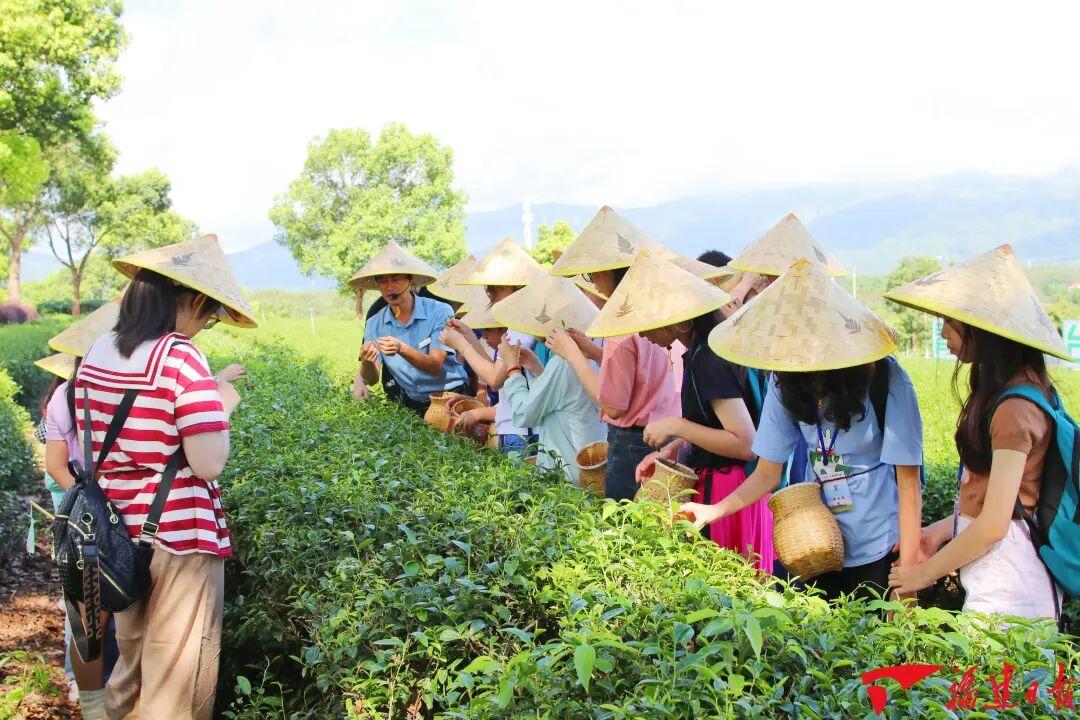 推动工业文旅融合发展，福建最新通知