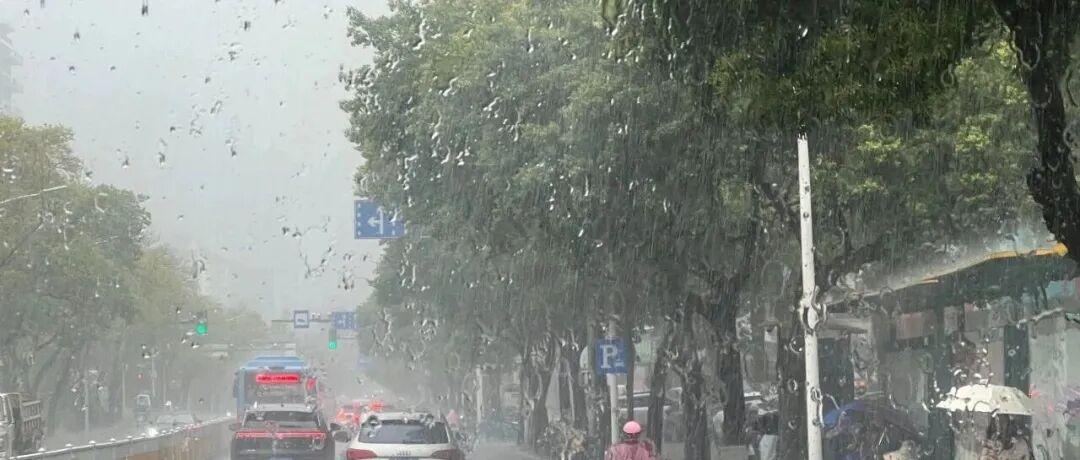 9.3℃！中雨、大雨！即将抵达福建！