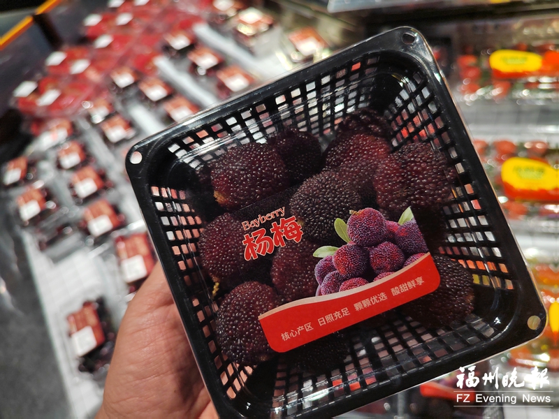 早熟杨梅抢鲜上市 目前“身价”颇高