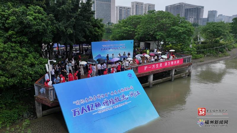 近万尾小鱼有了“身份证”！福州首次系统性放流标记鱼苗