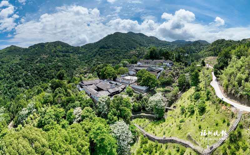 闽清桥东村：以文润村 以产兴村