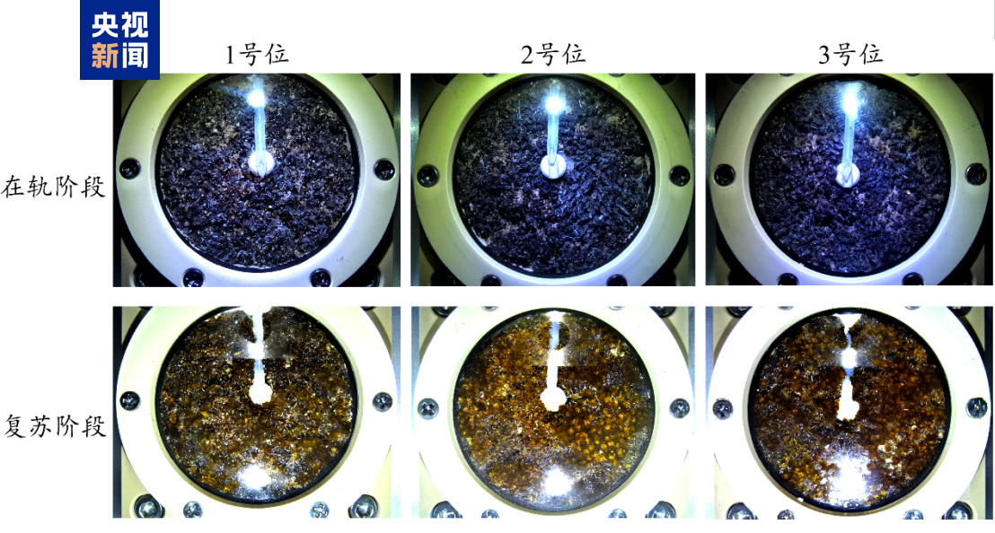 轻舟试验飞船第二批在轨试验成果发布