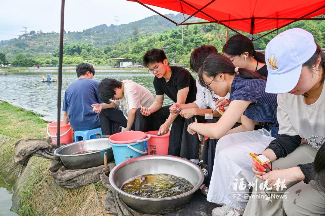 ​闽大科研团队为2万尾鲢鱼办“身份证”