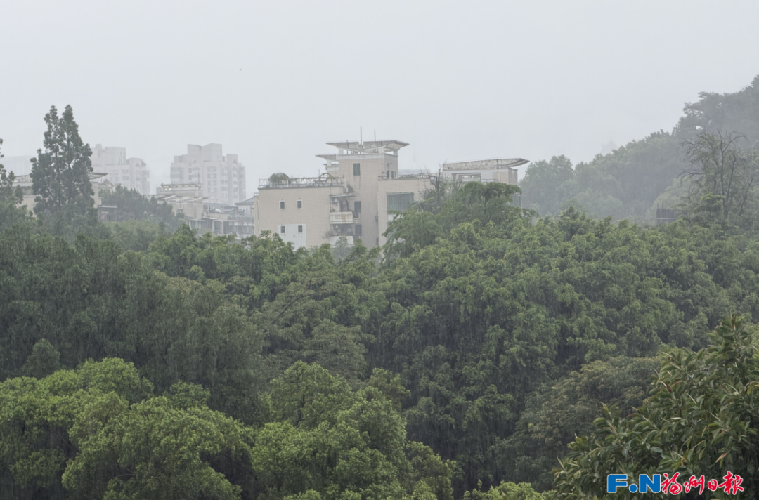 暴雨！大暴雨！福建发布预警！明天还要继续！