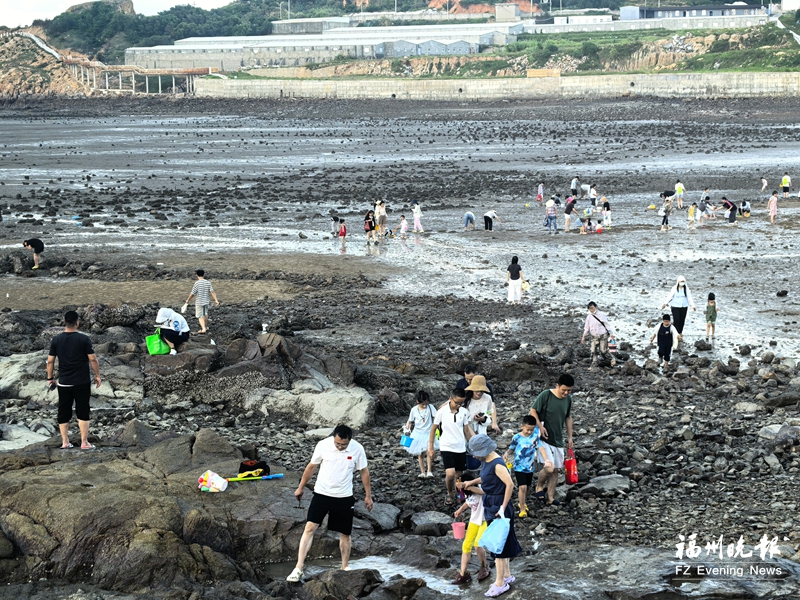 福清三山镇赶海季开幕