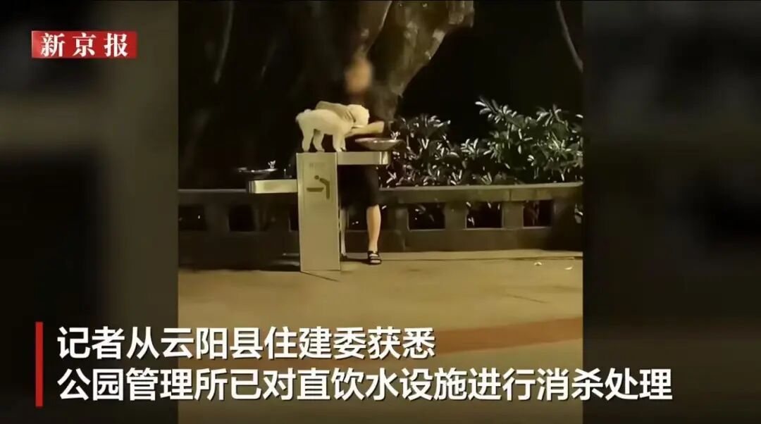 “宠物狗使用公共直饮水”引争议,多地回应 “宠物狗使用公共直饮水”引争议,多地回应