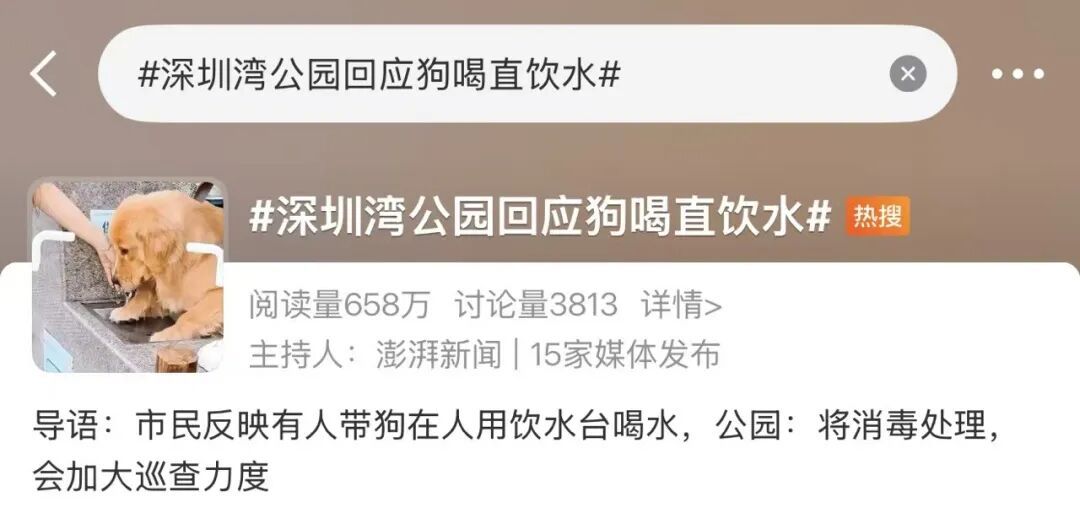 “宠物狗使用公共直饮水”引争议,多地回应 “宠物狗使用公共直饮水”引争议,多地回应