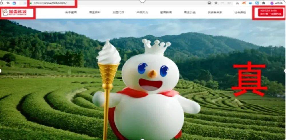 中央网信办举报中心上半年处置仿冒假冒网站759个 中央网信办举报中心上半年处置仿冒假冒网站759个