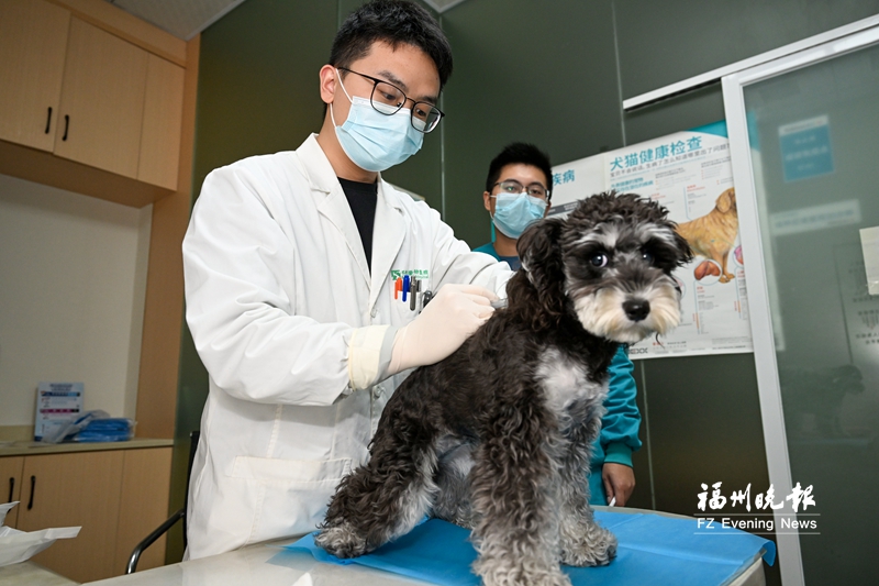 福州市人大常委会召开《福州市城市养犬管理条例》执法检查动员部署会