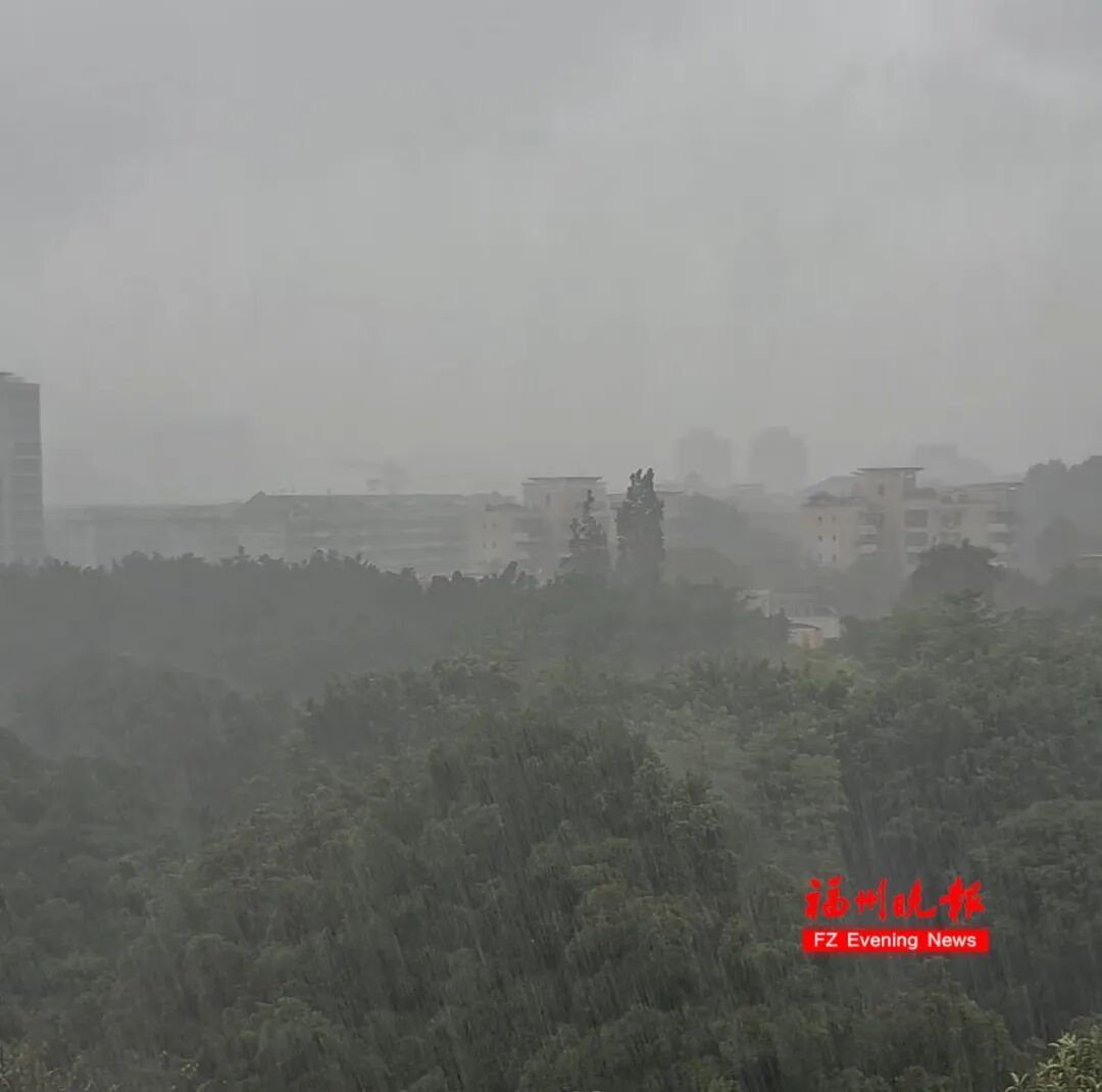 台风“白海豚”路径变了！可能在长江口到福建北部沿海登陆！福州明日局部大雨