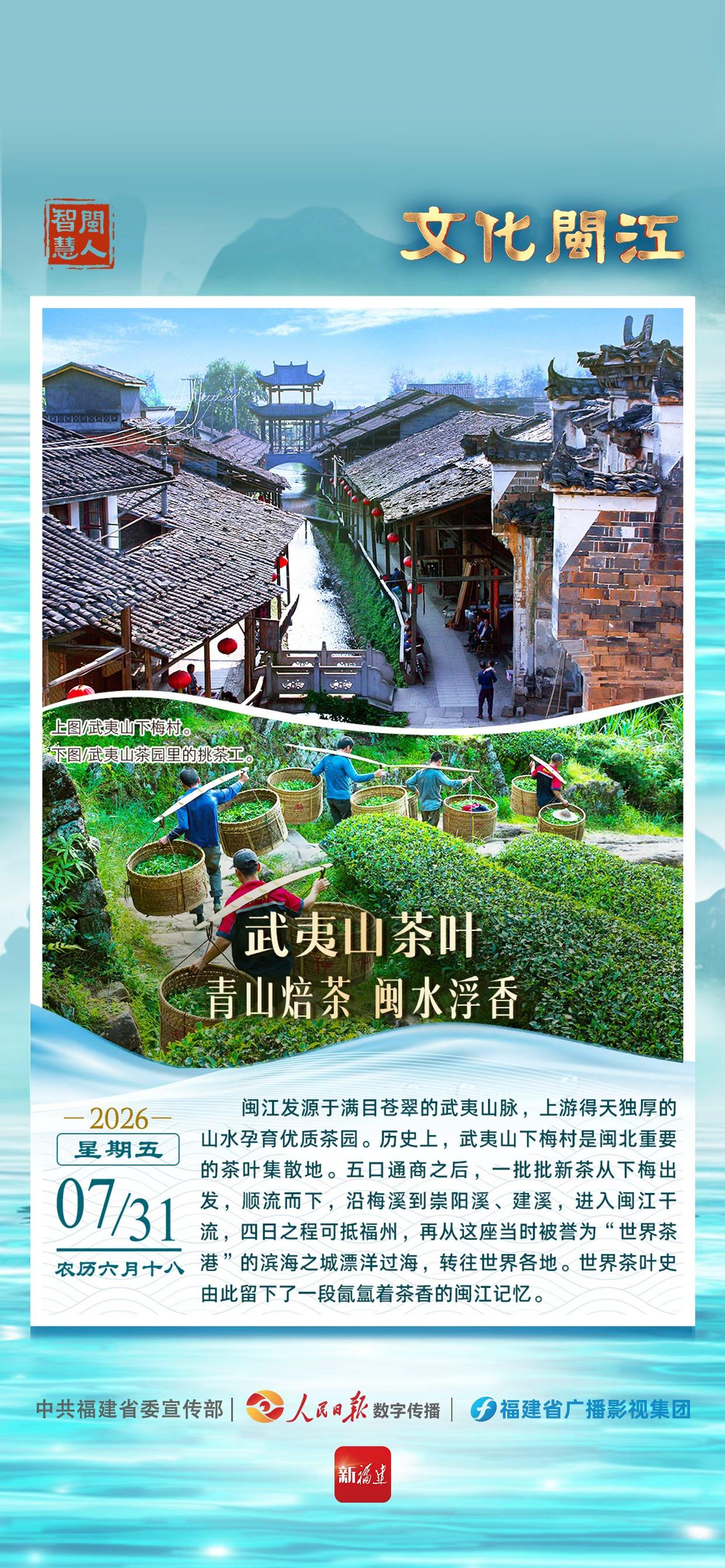 闽人智慧 | 武夷山茶叶：青山焙茶 闽水浮香