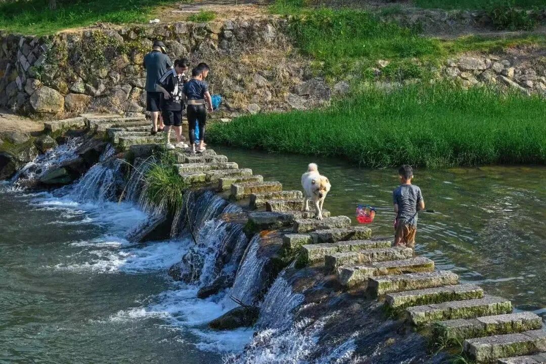 “天然空调房”！“夏”一站，就来晋安！