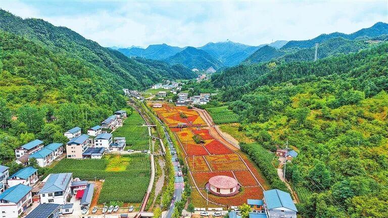 河南带薪休假新政：领导干部带头，全员应休尽休