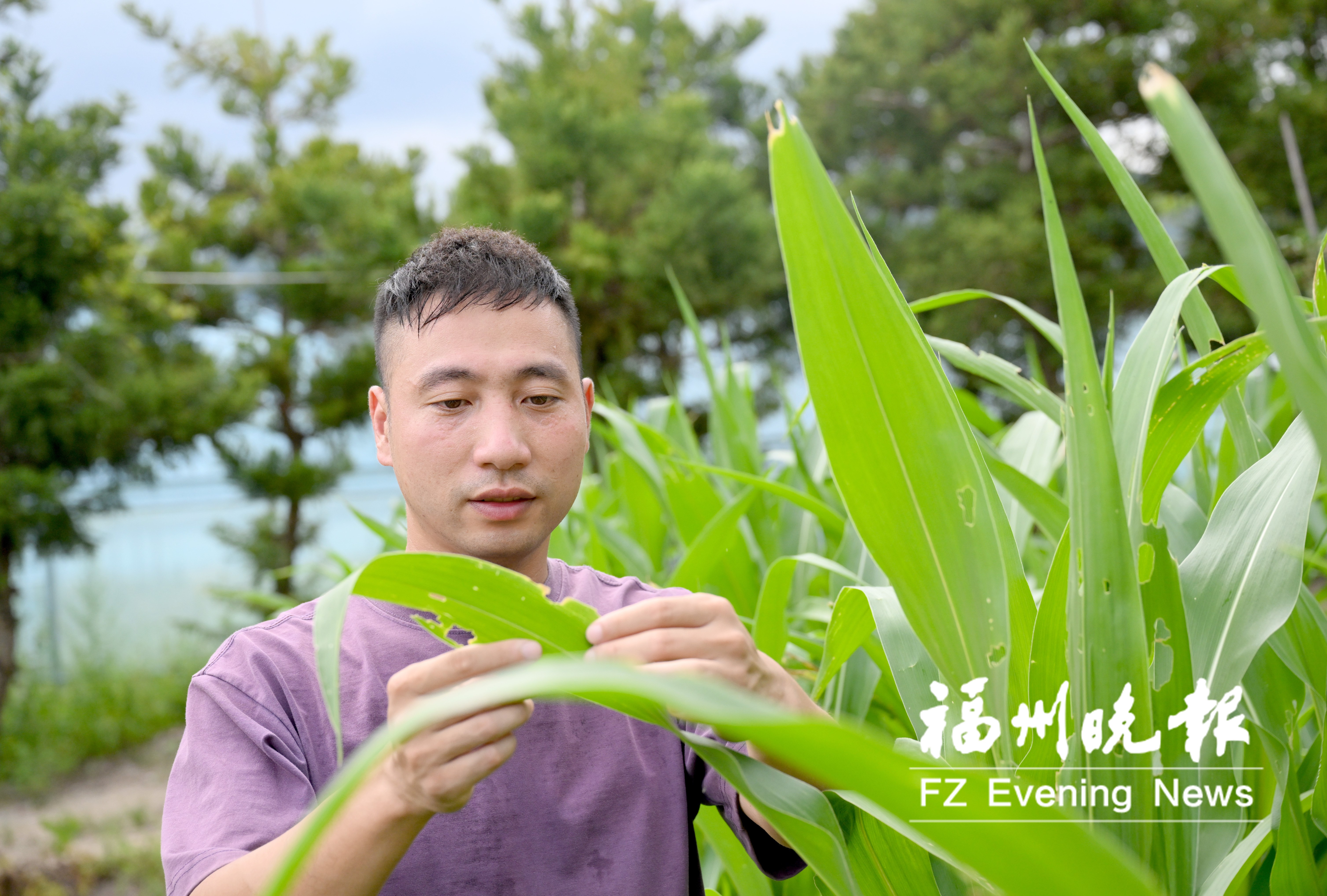 江立燊：耕出“花漾”致富路