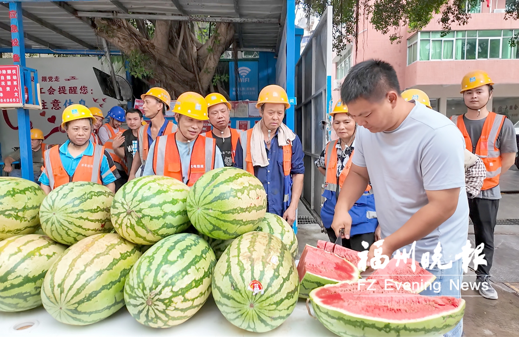 福州小哥售出350多吨河南西瓜 越来越多市民、企业买瓜送瓜