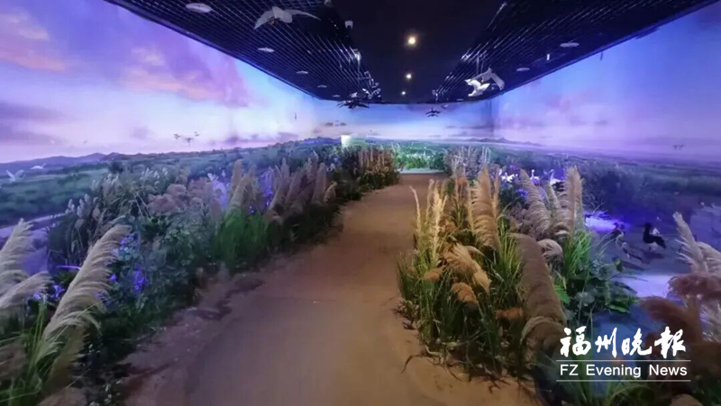  闽江河口湿地博物馆15日起开放