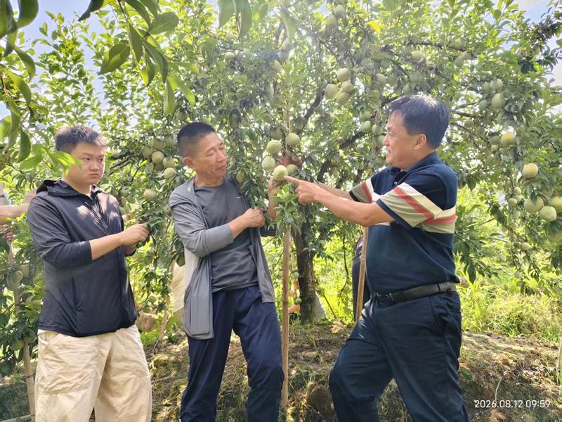 首届全国柰李种业创新与产业高质量发展研讨会在宁德古田举行