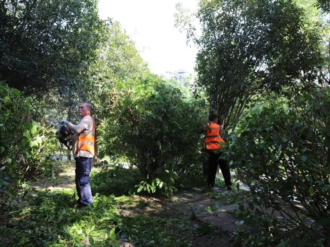 护河爱水、清洁家园！晋安在行动！