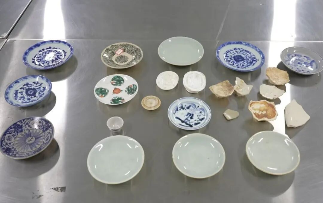 包含清青花白描龙纹杯等！福州海关查获文物及文物标本23件