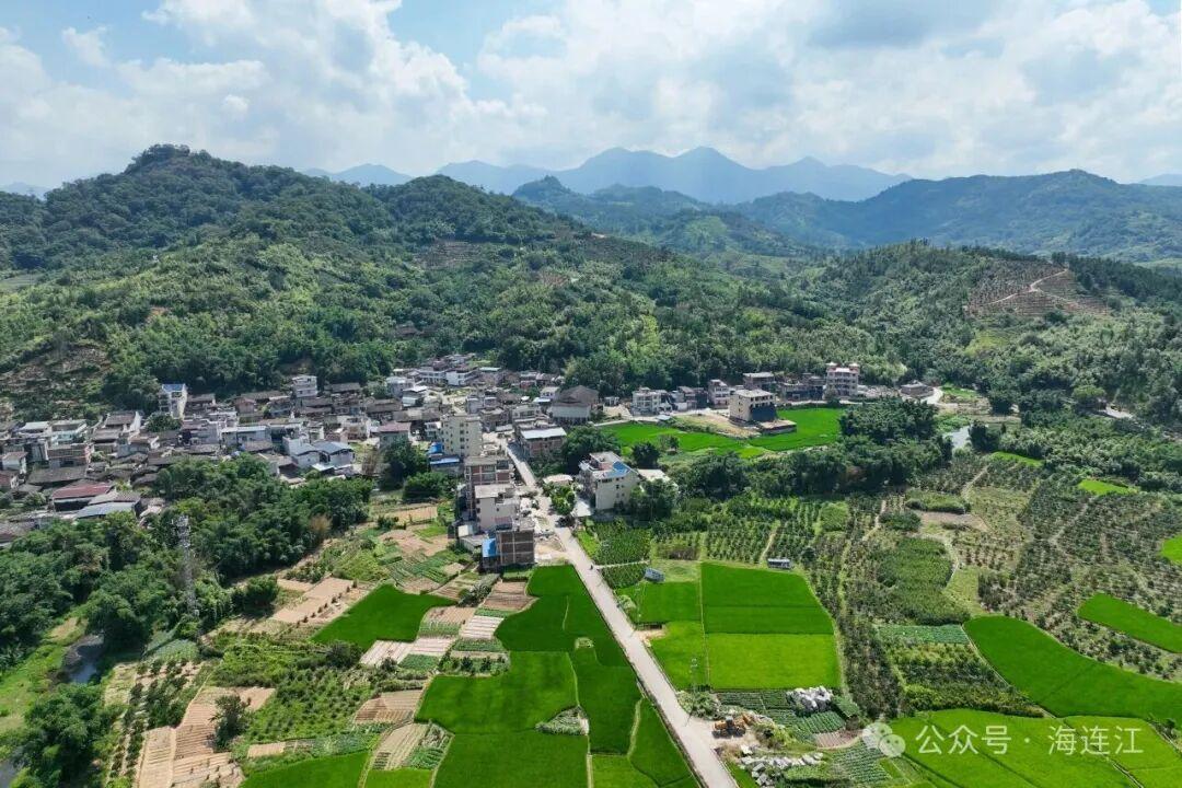 又鲜又甜！福州人爱的这口“山野美味”，正大量上市！