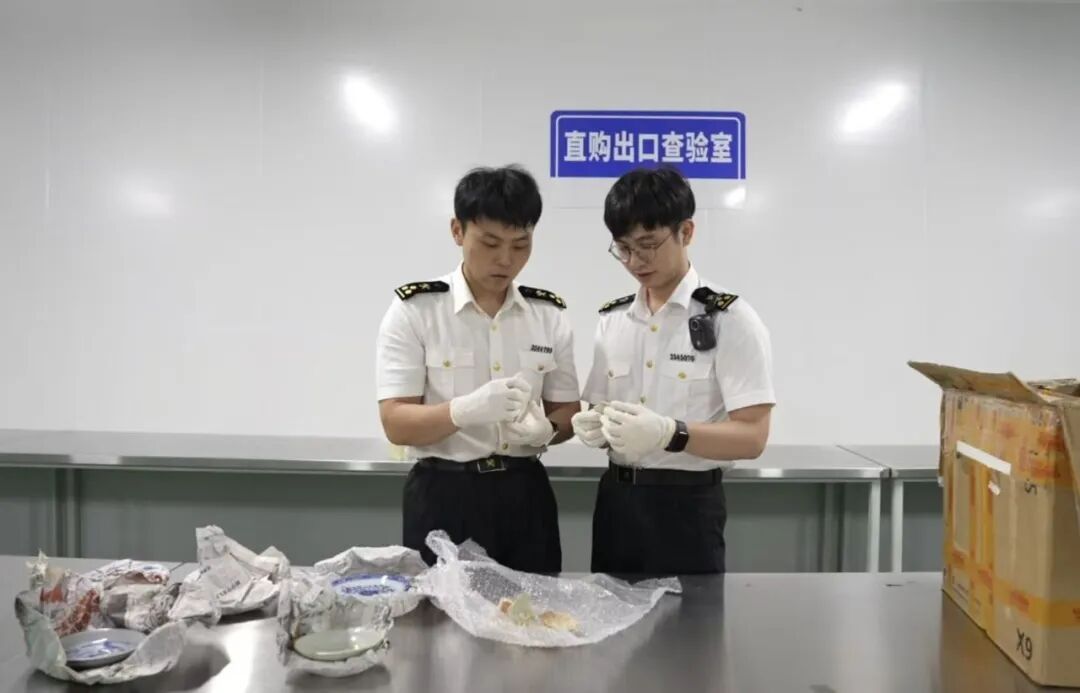 包含清青花白描龙纹杯等！福州海关查获文物及文物标本23件