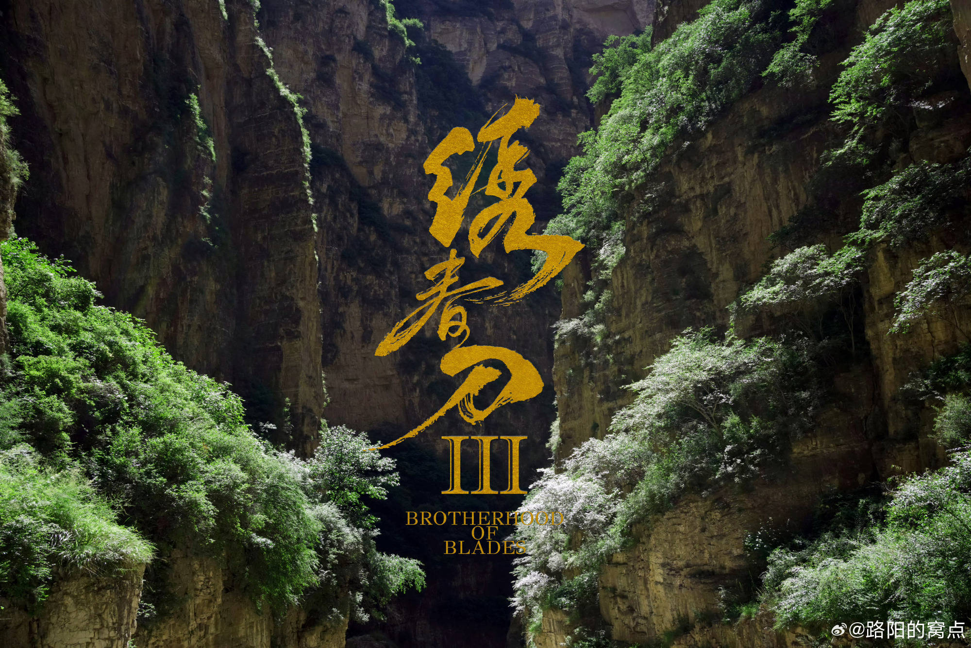 微信图片_20260807155603.jpg