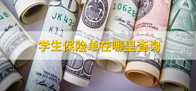 学生保险单在哪里查询，有以下三种方法