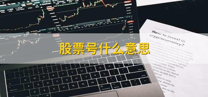 股票号什么意思，股票代码