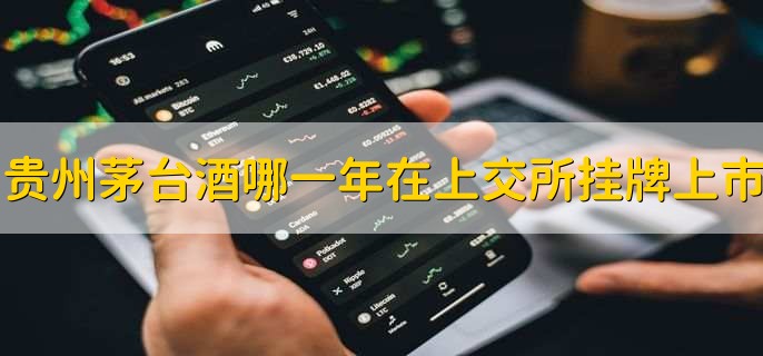 贵州茅台酒哪一年在上交所挂牌上市，2001年
