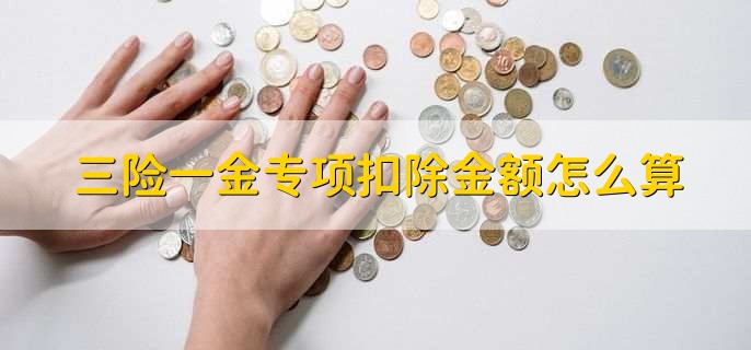 三险一金专项扣除金额怎么算,有以下两点