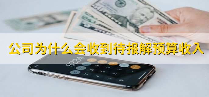 公司为什么会收到待报解预算收入，是当月通过银行交的税费