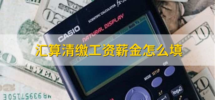 汇算清缴工资薪金怎么填,有以下五点