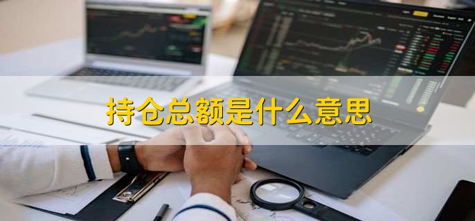 持仓总额是什么意思，持有的全部头寸的市场价值