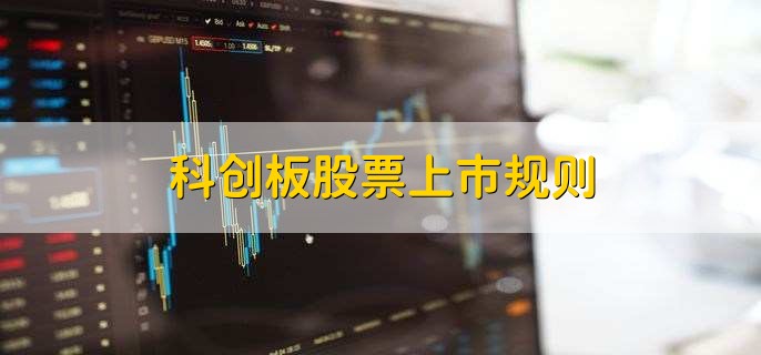 科创板股票上市规则，有以下4点