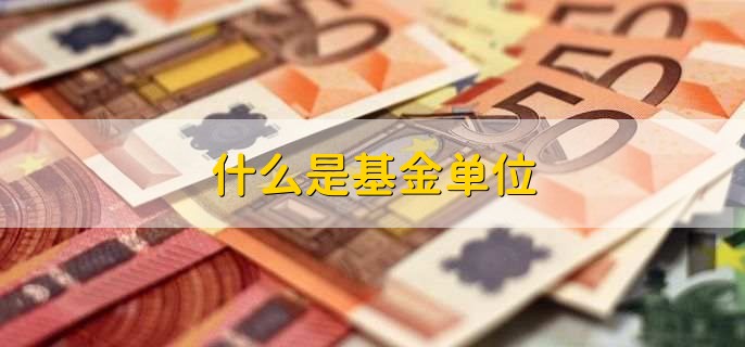 什么是基金单位,基金份额