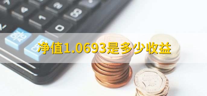 净值1.0693是多少收益，取决于净值及购买份额
