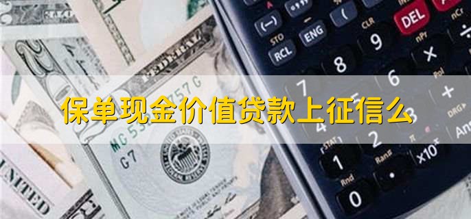 保单现金价值贷款上征信么,上征信