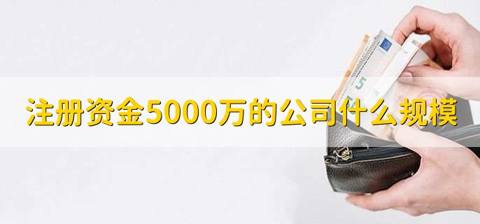 注册资金5000万的公司什么规模,中型企业