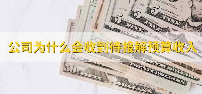 公司为什么会收到待报解预算收入，是当月通过银行交的税费