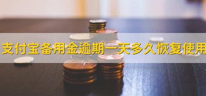支付宝备用金逾期一天多久恢复使用，有以下三种情况