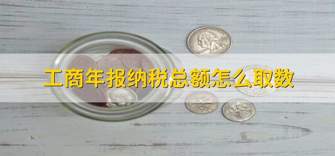 工商年报纳税总额怎么取数，从企业财务报表中获取