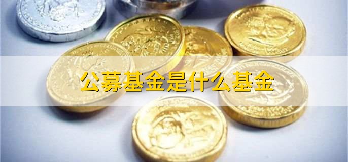 公募基金是什么基金，公开销售的基金